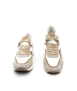 Adige Xen 001