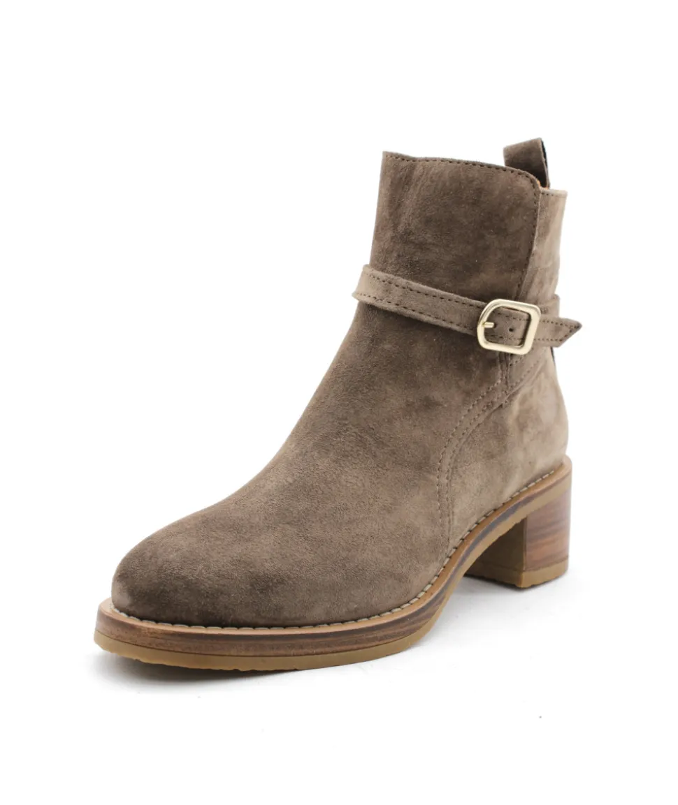 Alpe 2619-37