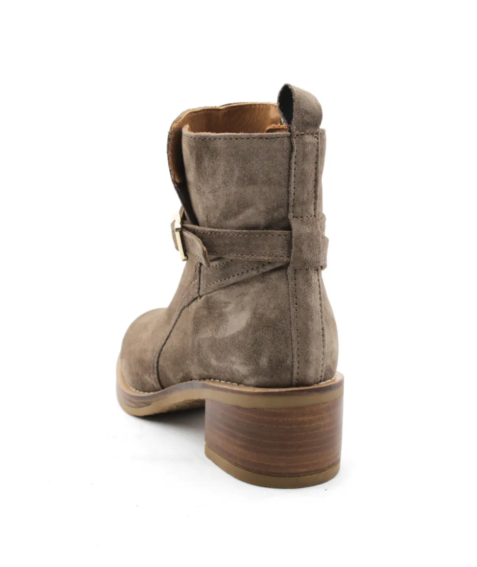 Alpe 2619-37