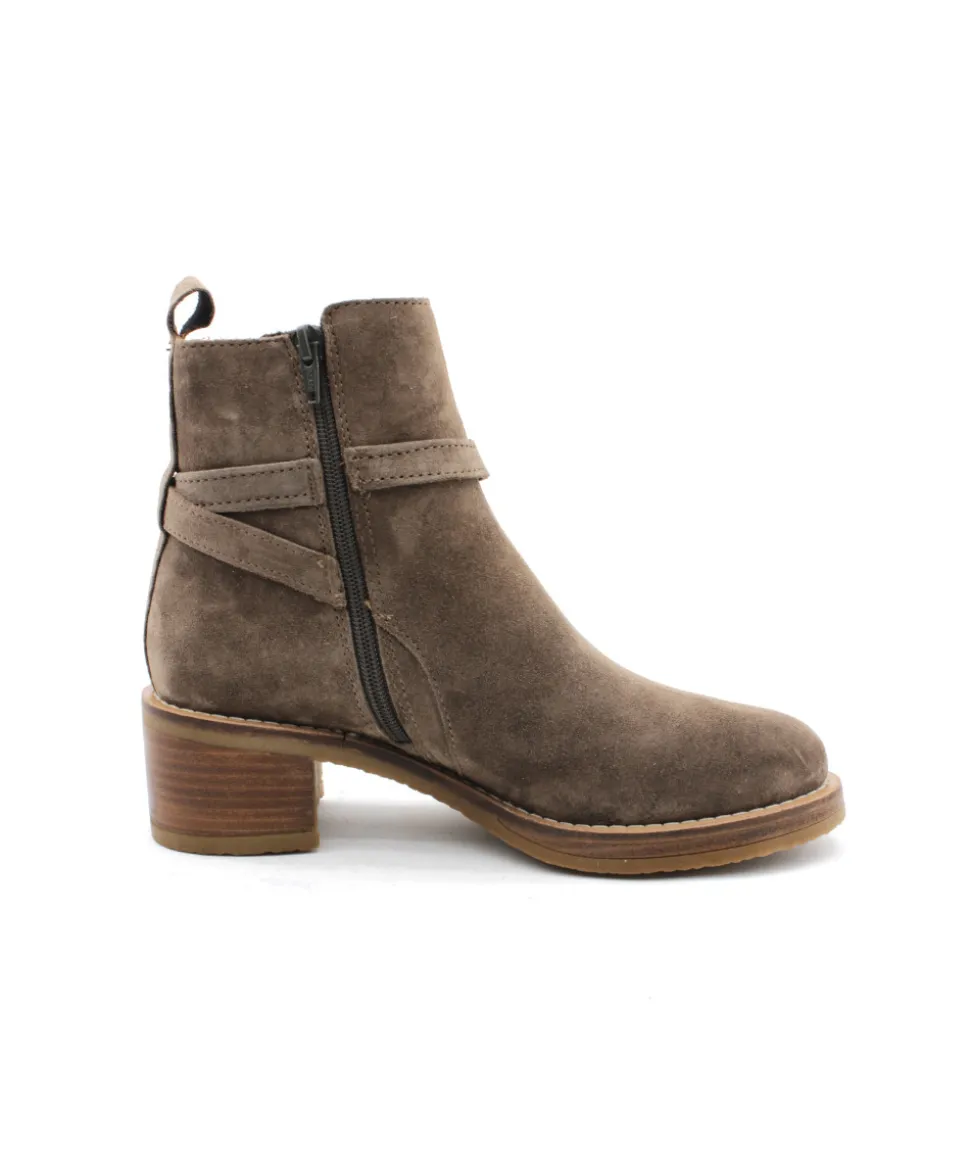 Alpe 2619-37