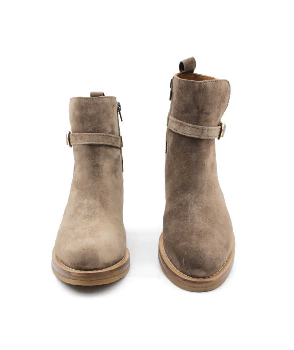 Alpe 2619-37