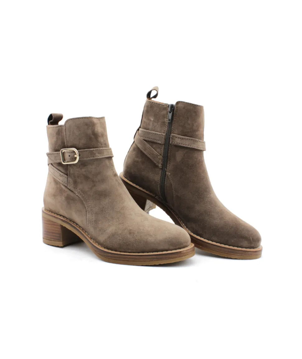 Alpe 2619-37