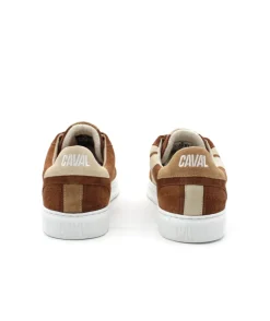 Caval Slash Brown Coffee