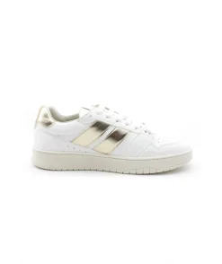 Caval Sport Slash Vegan Star