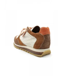 Cetti C848