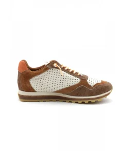 Cetti C848