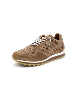 Cetti C848