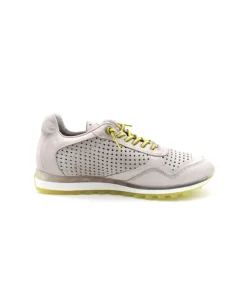 Cetti C848
