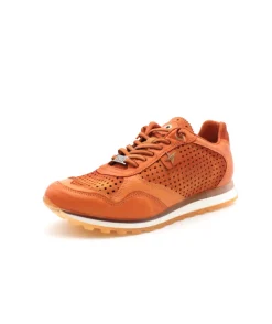 Cetti C848