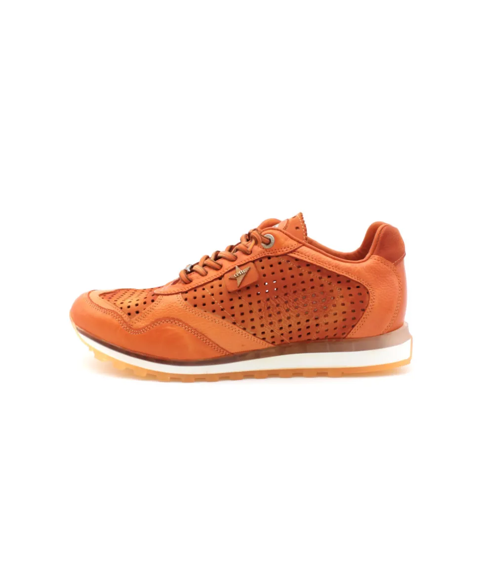 Cetti C848