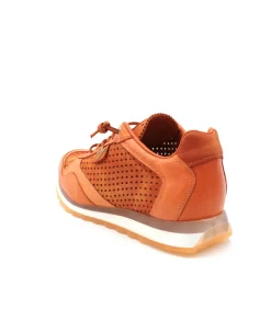 Cetti C848