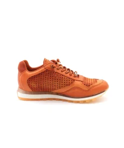 Cetti C848