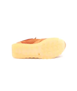 Cetti C848