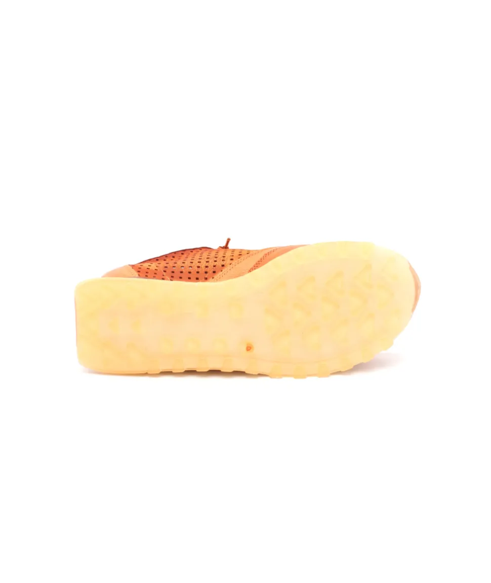 Cetti C848