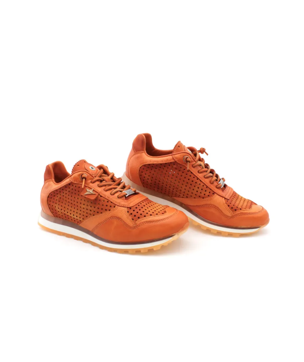 Cetti C848