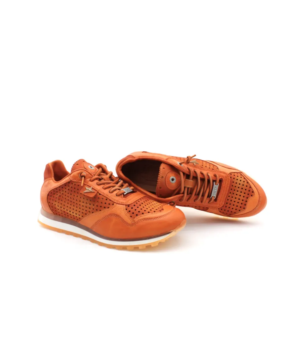 Cetti C848