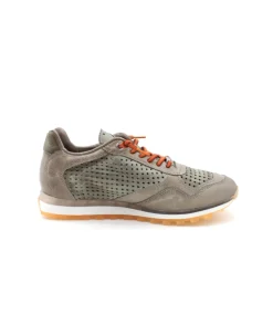 Cetti C848