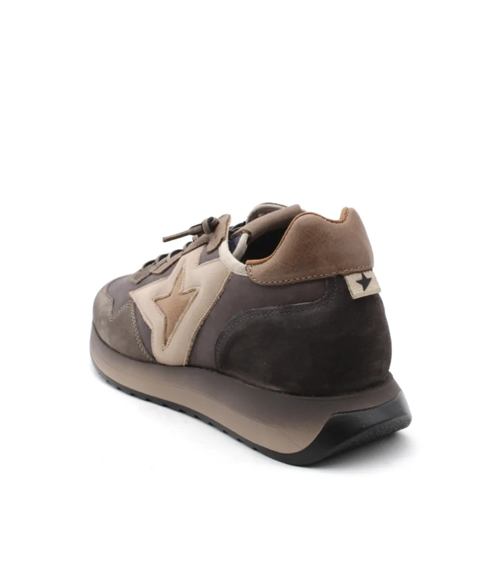 Cetti C1311 Ante Aged