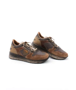 Cetti C1309 Ante Aged