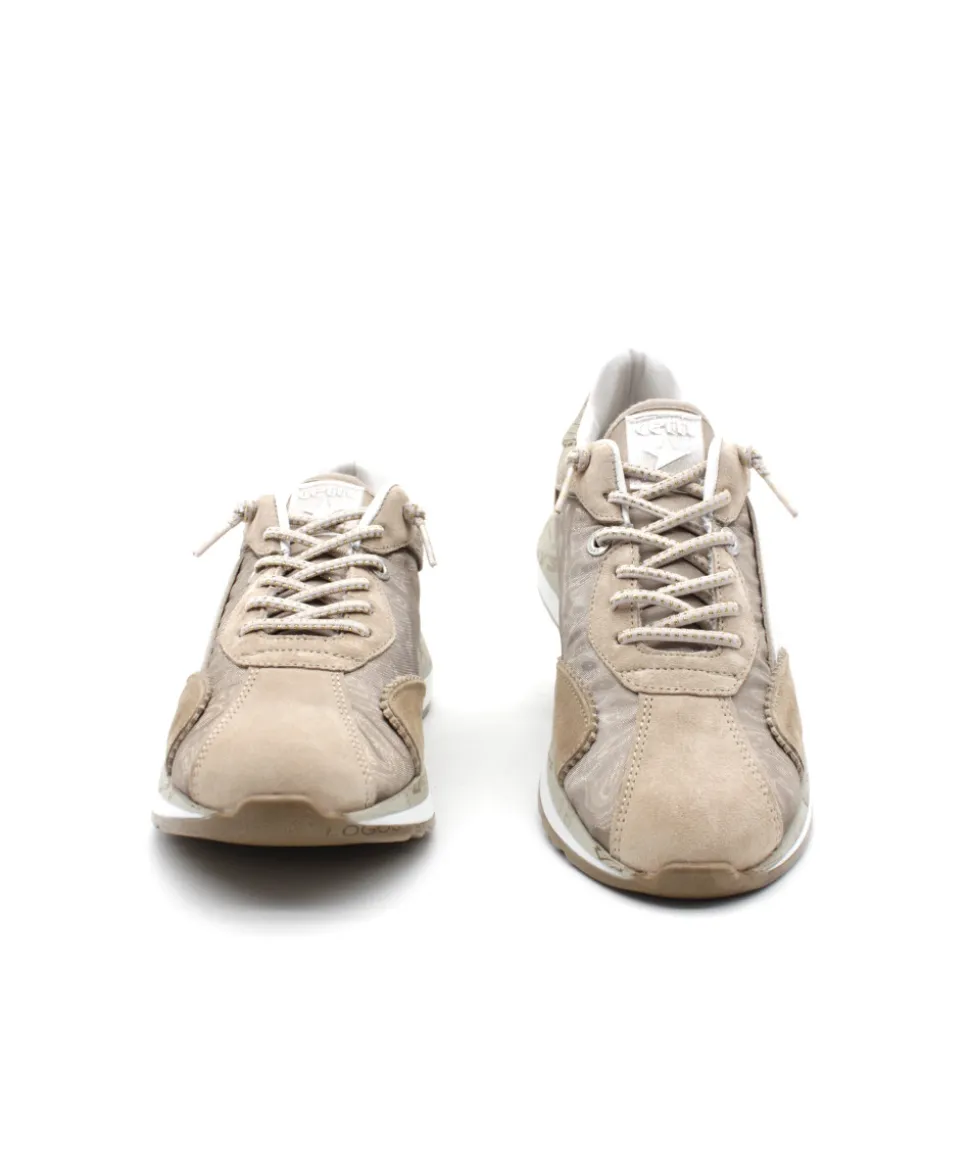 Cetti C1319 Ante Mesh