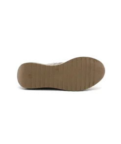 Cetti C1311 Ante Mesh