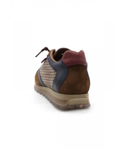 Cetti C848 Ante Sweet