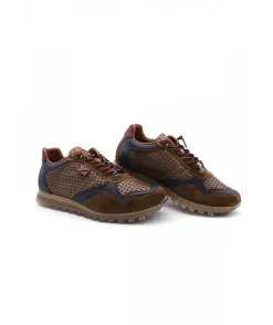 Cetti C848 Ante Sweet