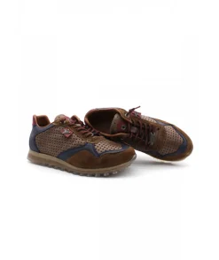 Cetti C848 Ante Sweet