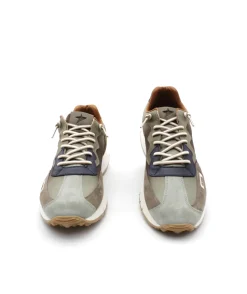 Cetti C1293 Degrade