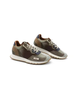 Cetti C1293 Degrade