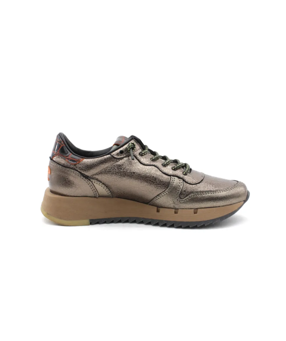 Cetti C1301 Metal Oxido
