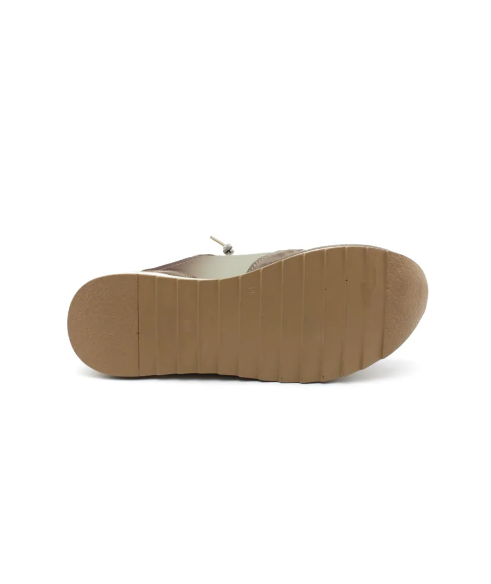 Cetti C1251 Sra