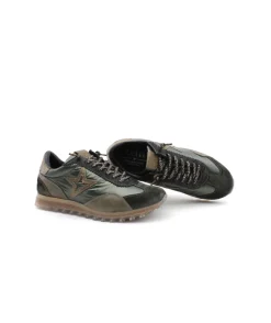 Cetti C1259 Sra Exp Ante