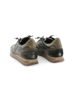 Cetti C1259 Sra Exp Ante