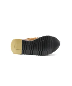 Cetti C1301 Sweet Ante