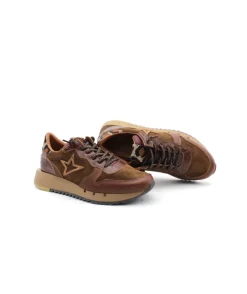 Cetti C1301 Sweet Ante
