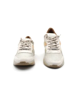 Cetti C1274 Trechia Champagne