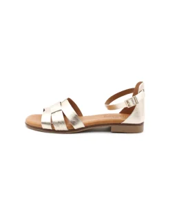 Dekaye 1504-F