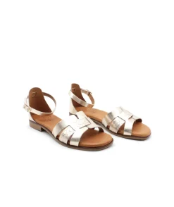 Dekaye 1504-F