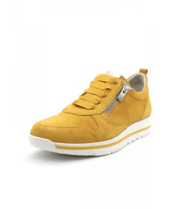 Dorking D8763 Algas