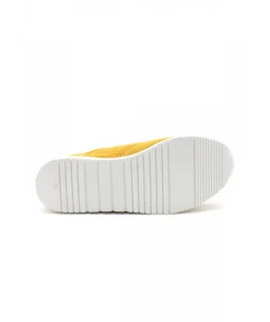 Dorking D8763 Algas