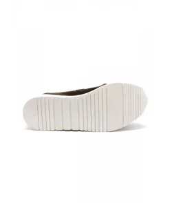 Dorking D8765 Algas
