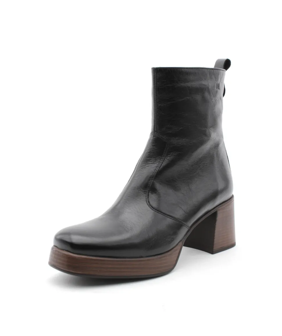 Dorking D9157 Cristel