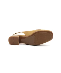 Dorking D9305 Gia
