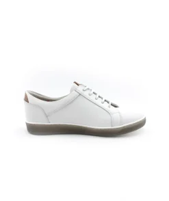 Dorking D8225 Karen