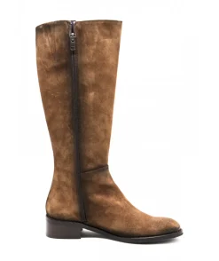 Dorking D8659 Mara