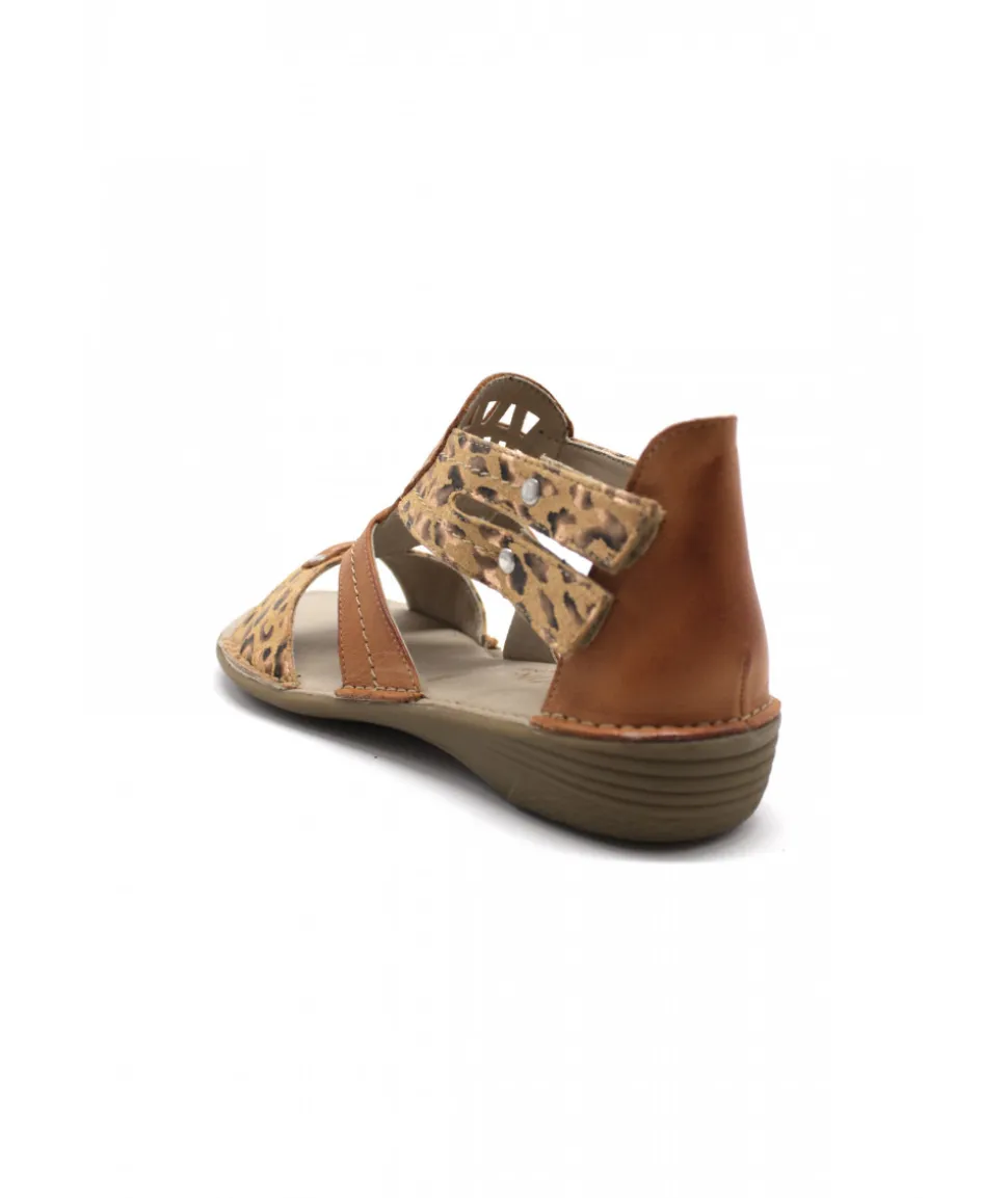Dorking D6769 Oda