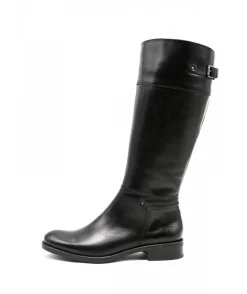 Dorking D7687 Tierra