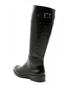 Dorking D7687 Tierra