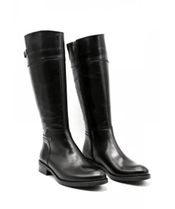 Dorking D7687 Tierra